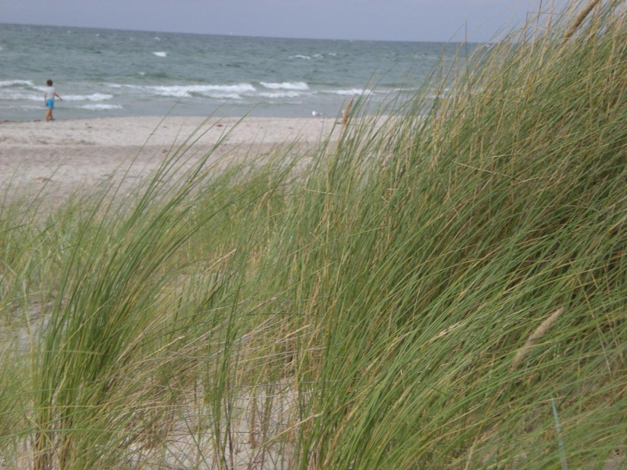 Achtern - Diek - Am Strand زنغست المظهر الخارجي الصورة
